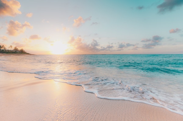 Tropical lagoon water — Florida coast